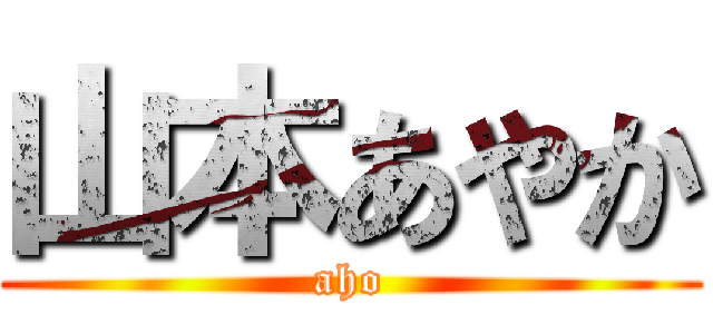 山本あやか (aho)