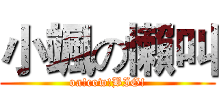 小颯の懶叫 (oa!cow!BIG!)