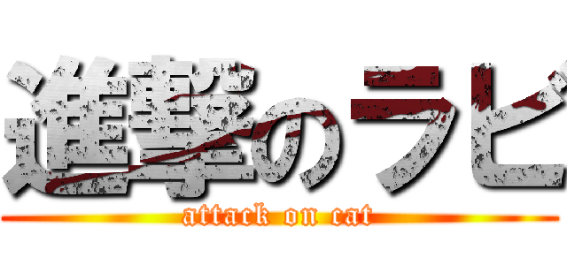 進撃のラビ (attack on cat)