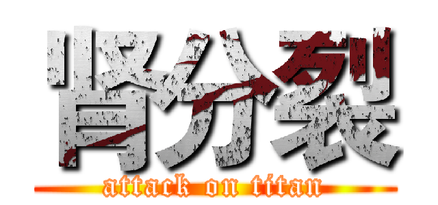 肾分裂 (attack on titan)
