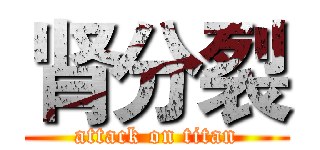 肾分裂 (attack on titan)