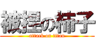 被捏の柿子 (attack on titan)