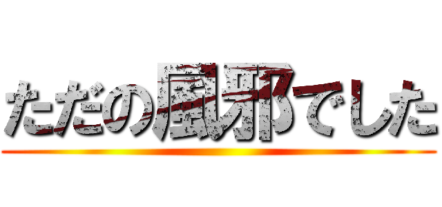 ただの風邪でした ()