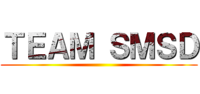 ＴＥＡＭ ＳＭＳＤ ()
