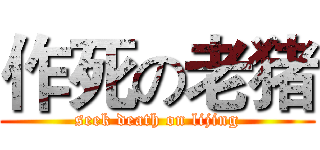 作死の老猪 (seek death on lijing)