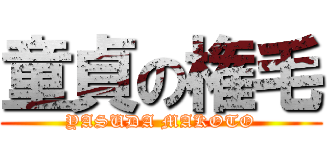 童貞の権毛 (YASUDA MAKOTO)