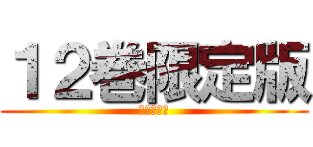 １２巻限定版 (予約受付中)