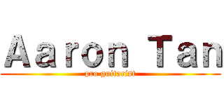 Ａａｒｏｎ Ｔａｎ (pro guitarist)