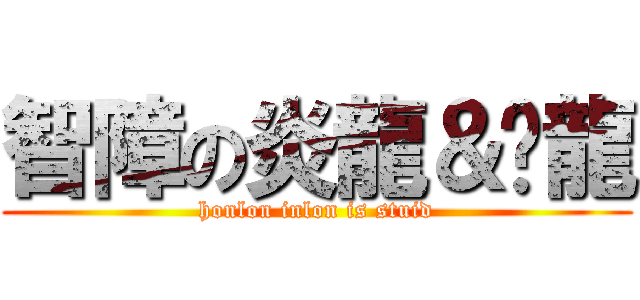智障の炎龍＆竤龍 (honlon inlon is stuid)