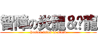 智障の炎龍＆竤龍 (honlon inlon is stuid)