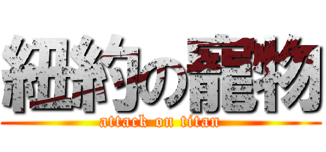 紐約の寵物 (attack on titan)