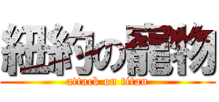 紐約の寵物 (attack on titan)