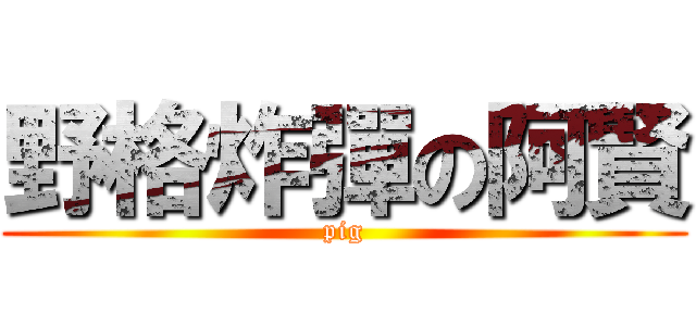 野格炸彈の阿賢 (pig)