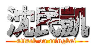 沈民凱 (attack on mingkai)