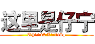 这里是仔宁 (This is Zaining)