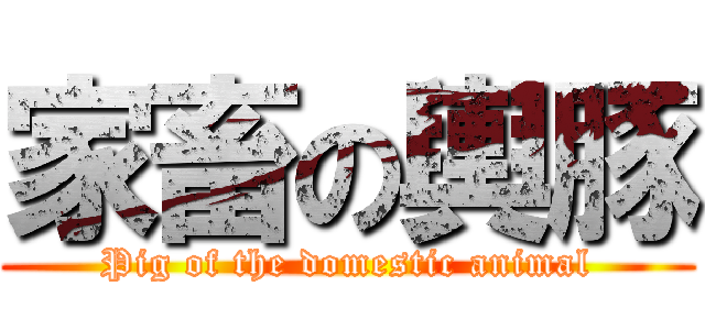 家畜の輿豚 (Pig of the domestic animal)