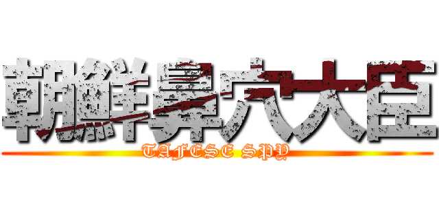 朝鮮鼻穴大臣 (TAFESE SPY)