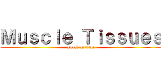Ｍｕｓｃｌｅ Ｔｉｓｓｕｅｓ (attack on titan)