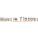 Ｍｕｓｃｌｅ Ｔｉｓｓｕｅｓ (attack on titan)