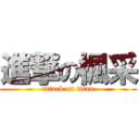 進撃の楓采 (attack on titan)