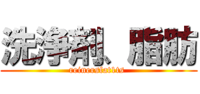 洗浄剤、脂肪 (reinersfat1ts )