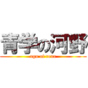 青学の河野 (agu of rena)