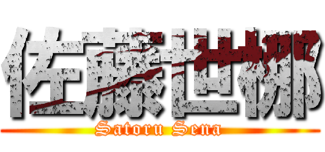 佐藤世梛 (Satoru Sena)