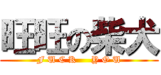 旺旺の柴犬 (F U C K     Y O U)