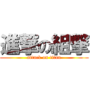 進撃の組撃 (attack on titan)