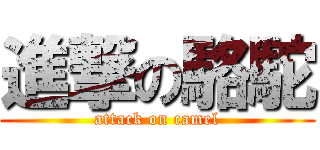 進撃の駱駝 (attack on camel)