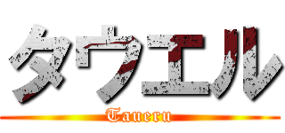 タウエル (Taueru)