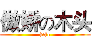傲娇の木头 (hehe)