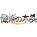 傲娇の木头 (hehe)