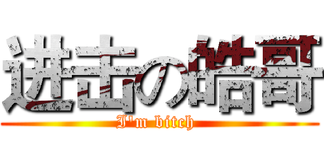 进击の皓哥 (I'm bitch )