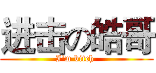 进击の皓哥 (I'm bitch )