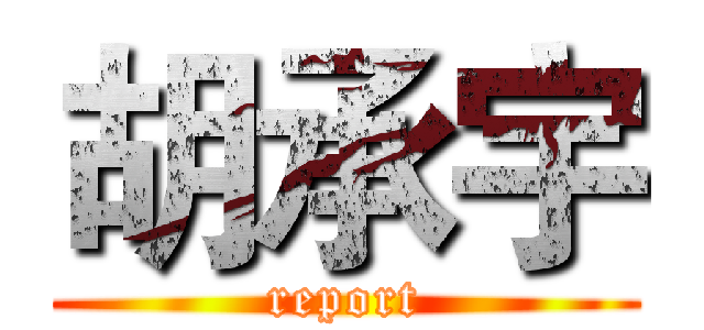 胡承宇 (report)