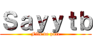 Ｓａｙｙｔｂ (Fils de pute)