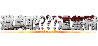 還真敢說啊你這隻豬 (attack on titan)