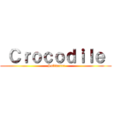  Ｃｒｏｃｏｄｉｌｅ  ( Saltwater)