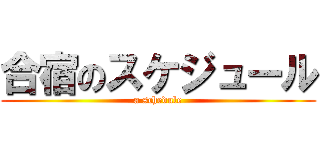 合宿のスケジュール (a schedule)