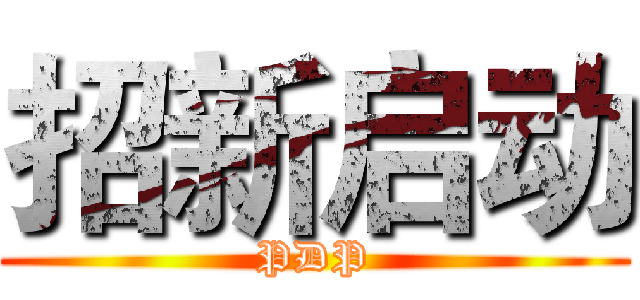 招新启动 (PDP)