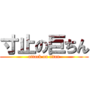 寸止の巨ちん (attack on titan)