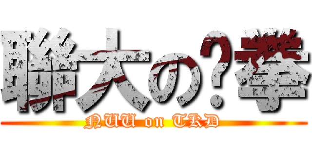 聯大の跆拳 (NUU on TKD)