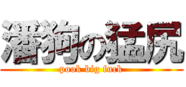 潘狗の猛尻 (pook big fuck)