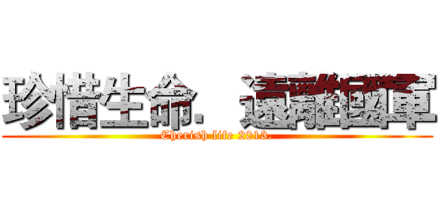 珍惜生命．遠離國軍 (Cherish life 2013.)