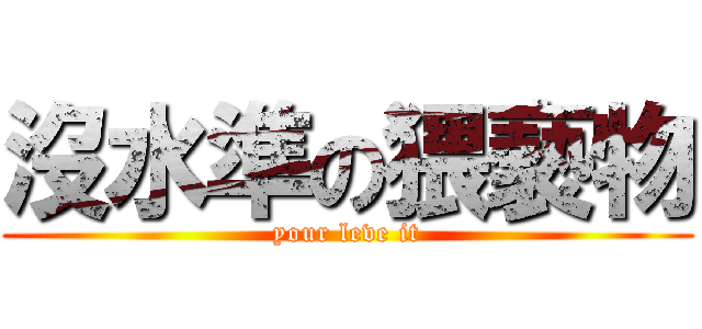 沒水準の猥褻物 (your leve it)