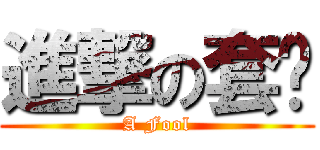 進撃の套ㄐ (A Fool)