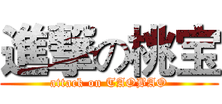 進撃の桃宝 (attack on TAOBAO)