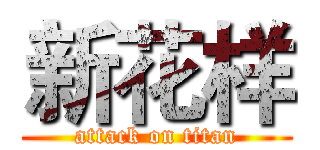新花样 (attack on titan)