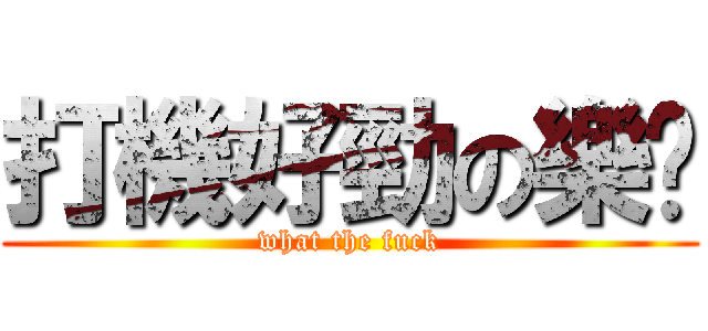 打機好勁の樂囝 (what the fuck)